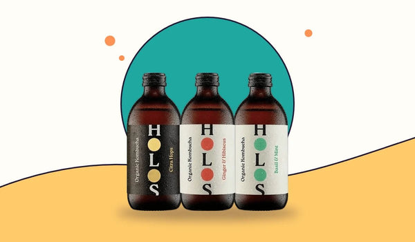 HOLOS kombucha: Citra Hops, Ginger & Hibiscus and Basil & Mint