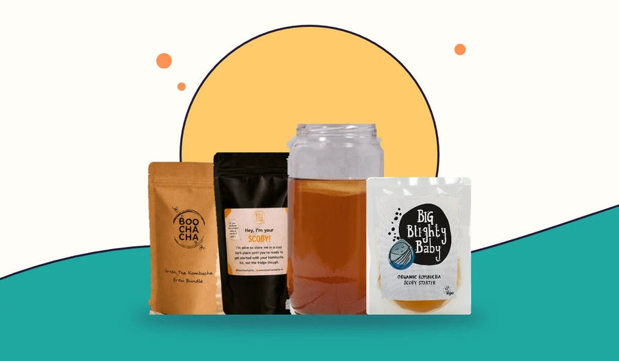 Kombucha making kits: SCOBY starter, tea pouches and a brewing jar