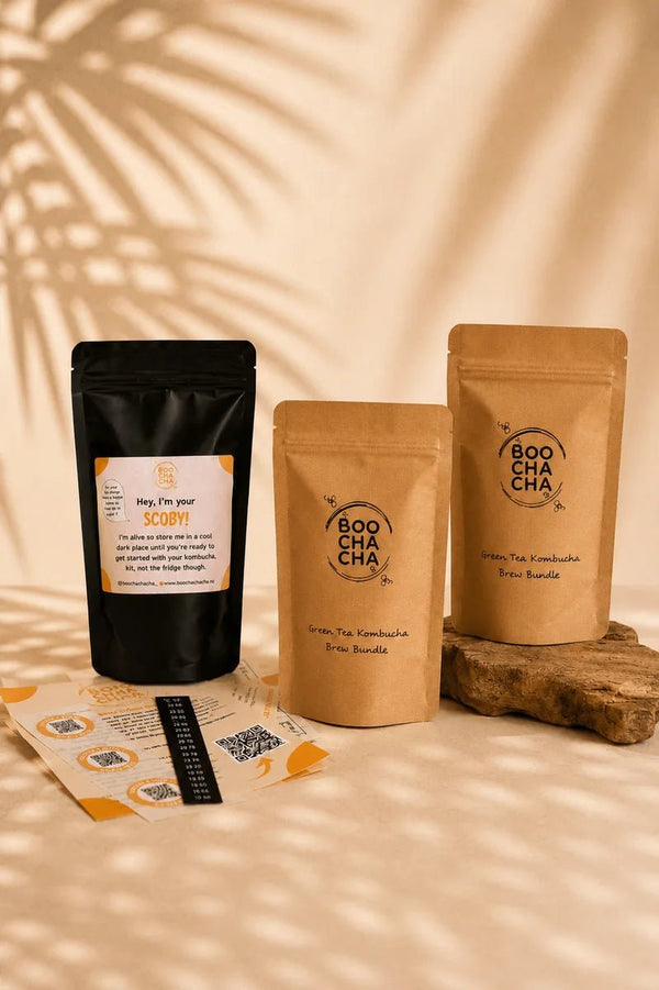 Basic kombucha starter kit for brewing kombucha at home