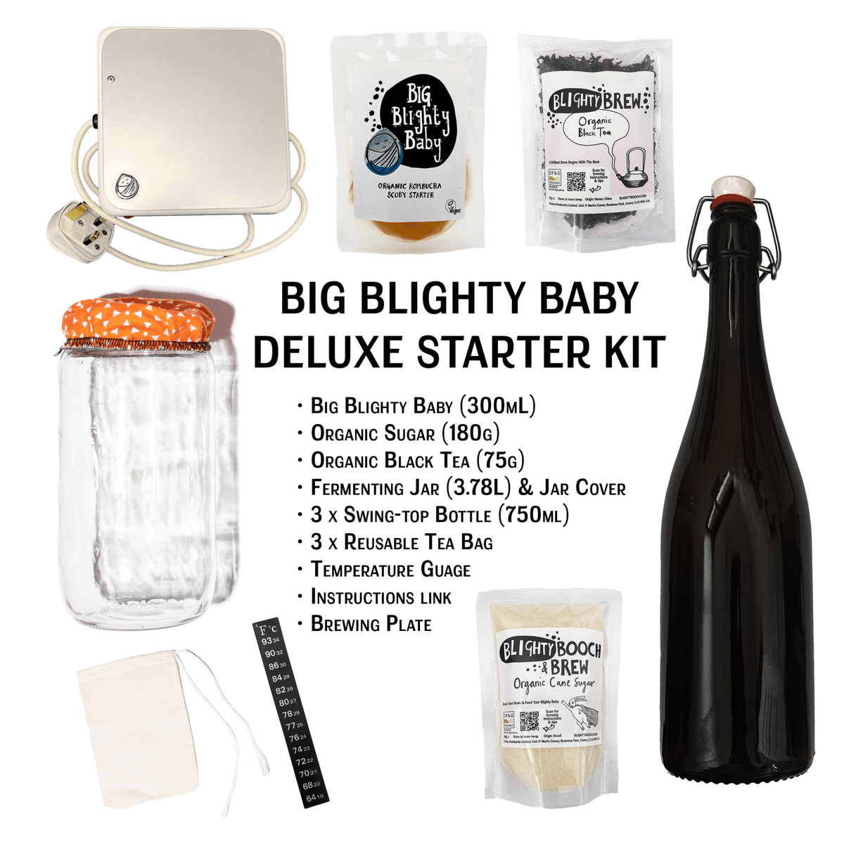 Big Blighty Baby Kombucha Starter Kit (to make 3L) - Functional Drinks Club