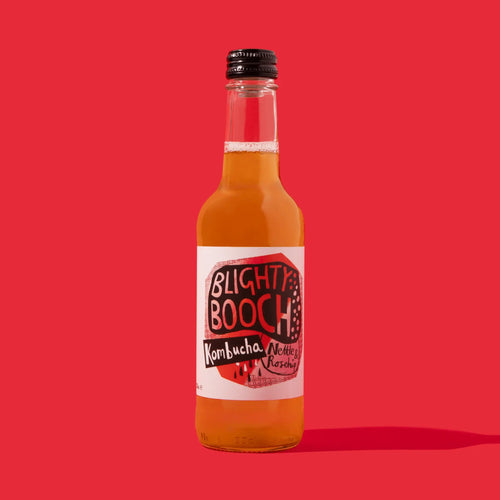 Bottle of Blighty Booch Nettle & Rosehip Kombucha on a red background