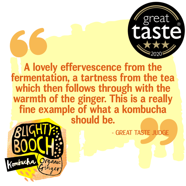 Blighty Booch Organic Ginger Kombucha - 12 or 24 Pack - Functional Drinks Club, another view