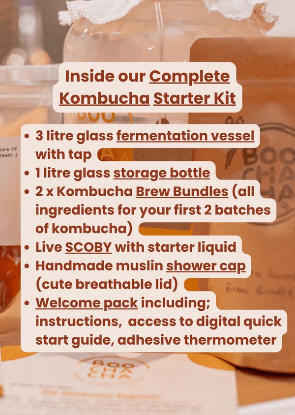 Kombucha starter kit with text detailing its contents.
