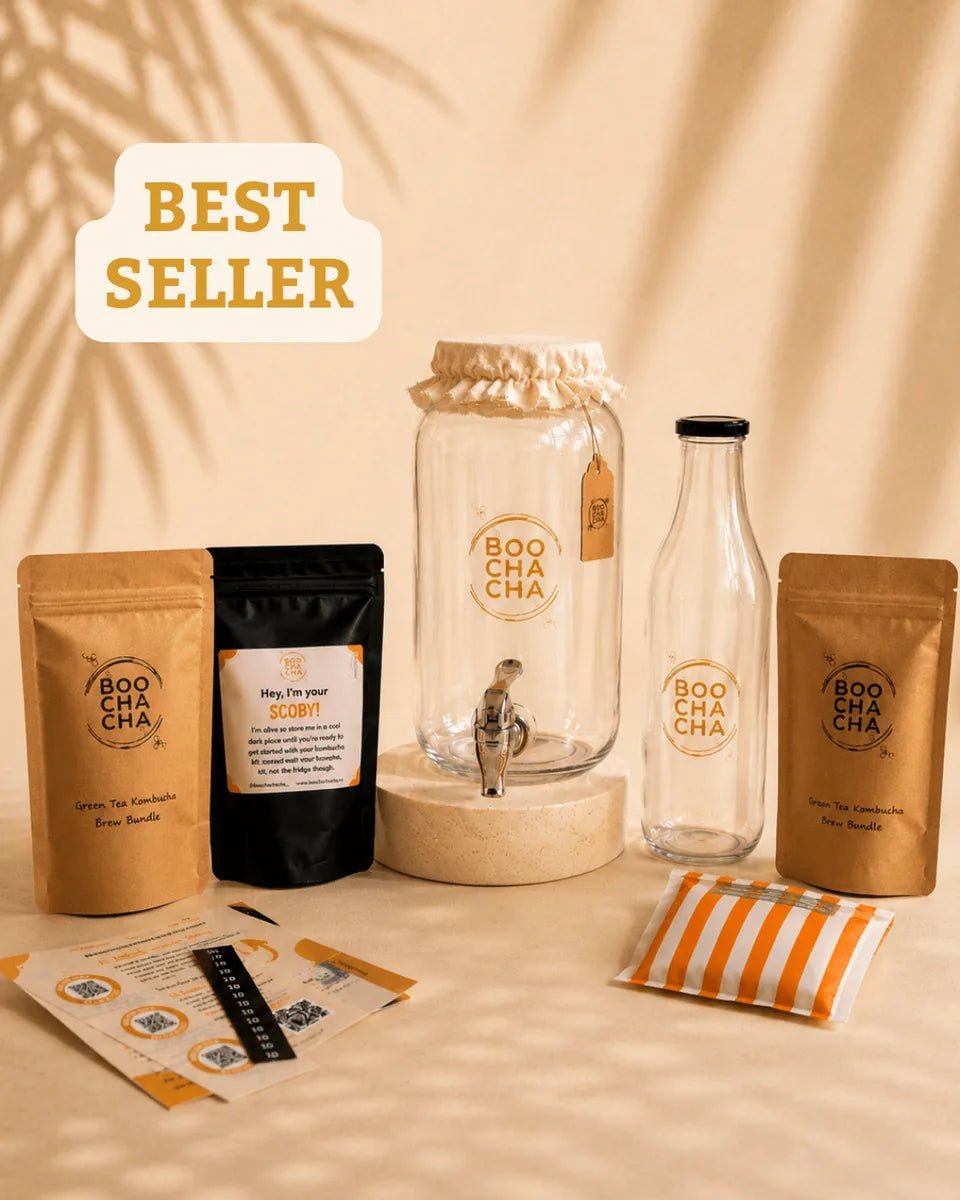 Complete kombucha starter kit with everything to brew at home