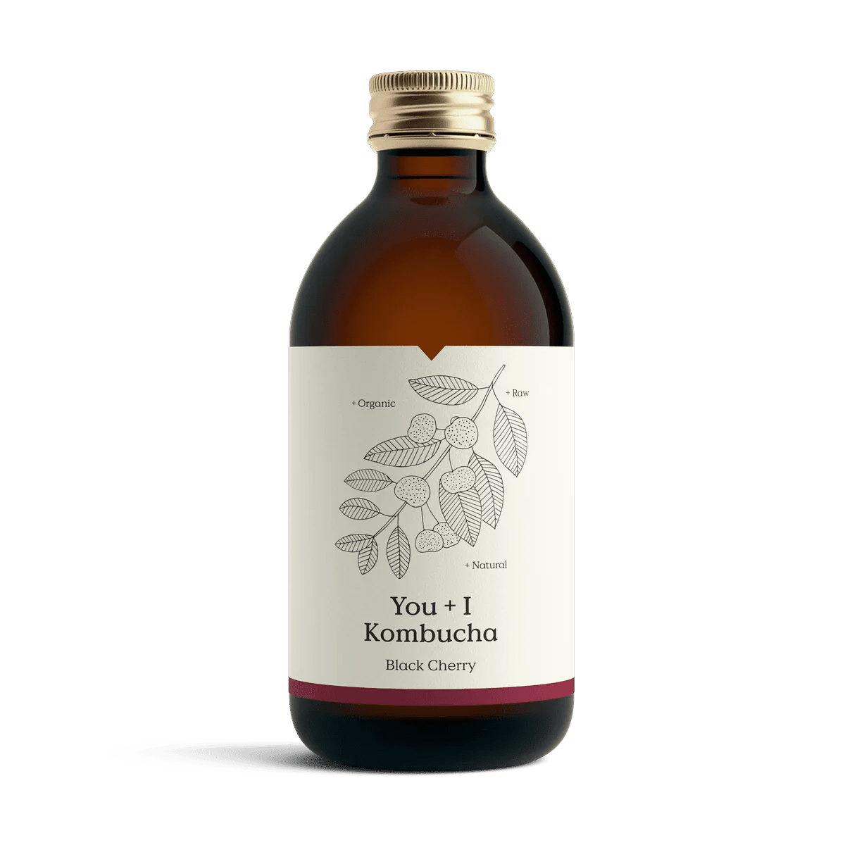 You + I Black Cherry kombucha