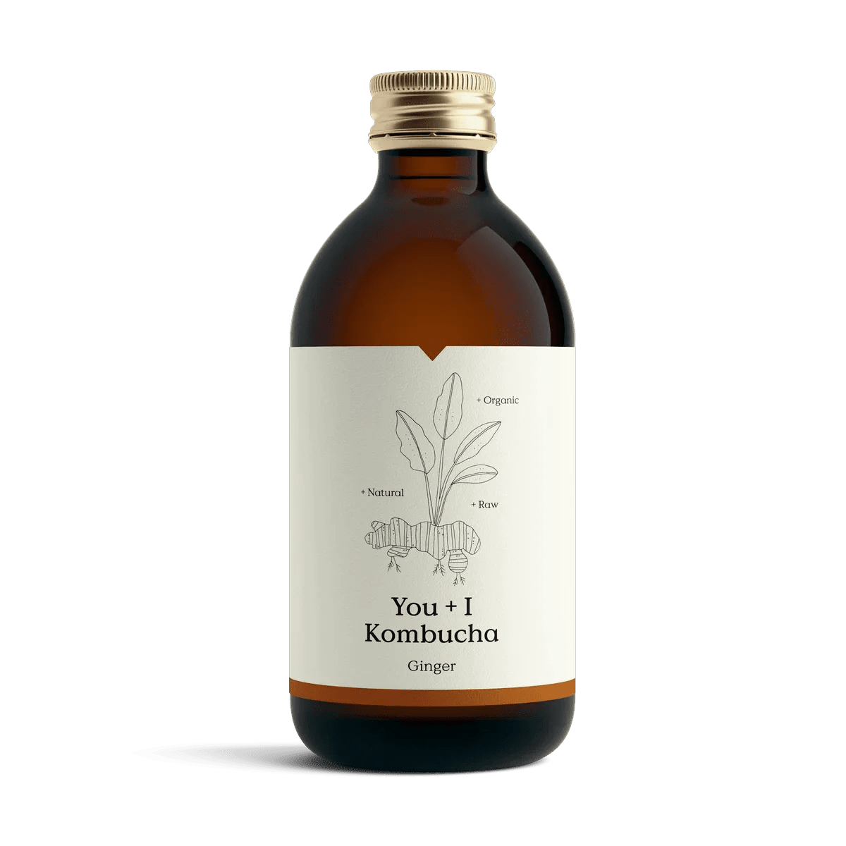 You + I Ginger kombucha