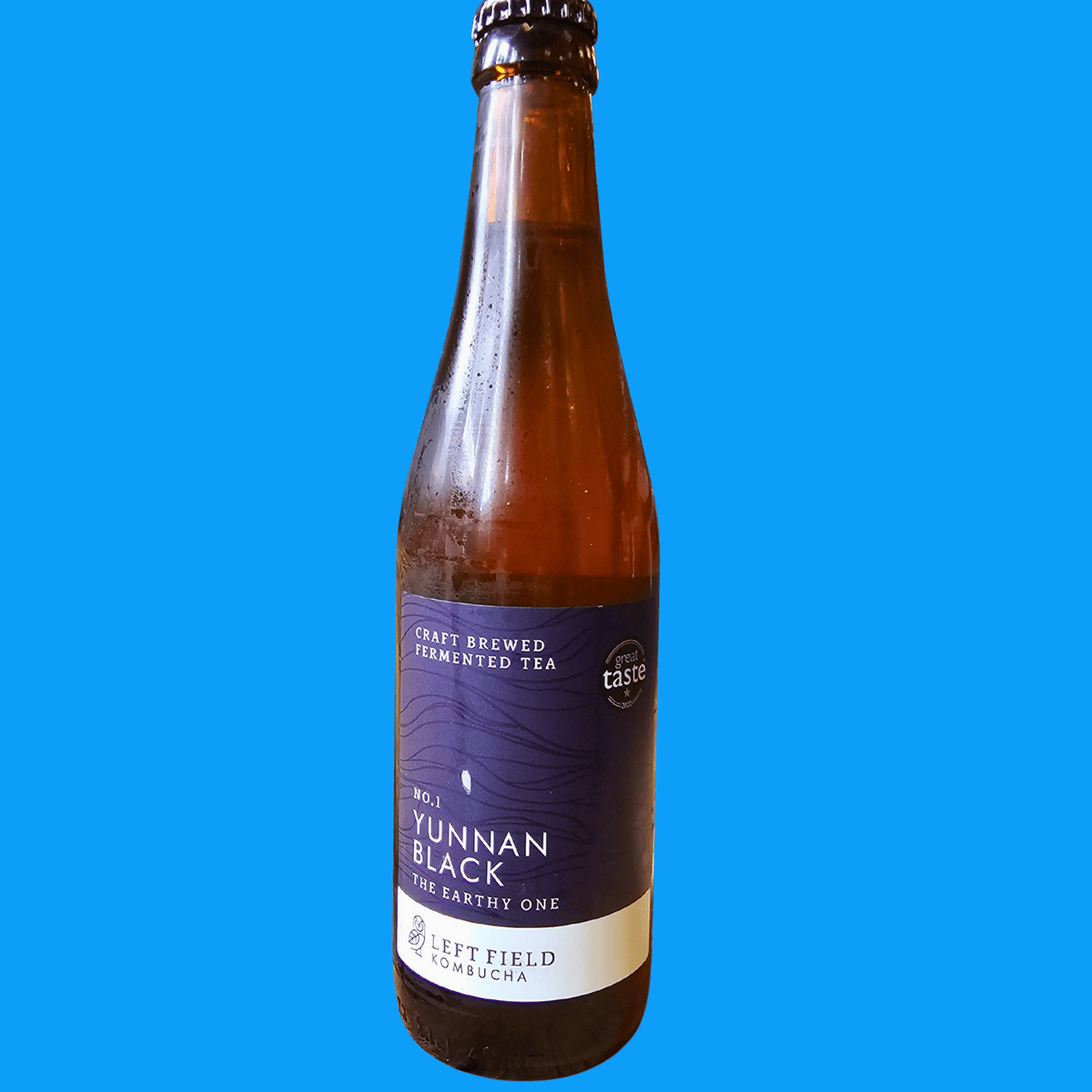 A bottle of Left Field No.1 Yunnan Black raw kombucha on a bright blue background.