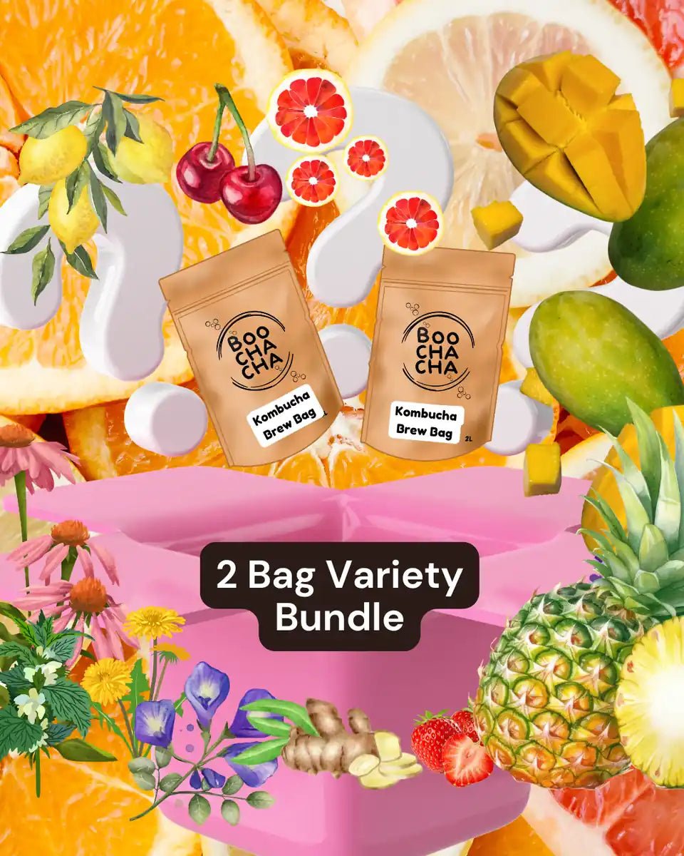 Luxury kombucha starter kit gift set contents