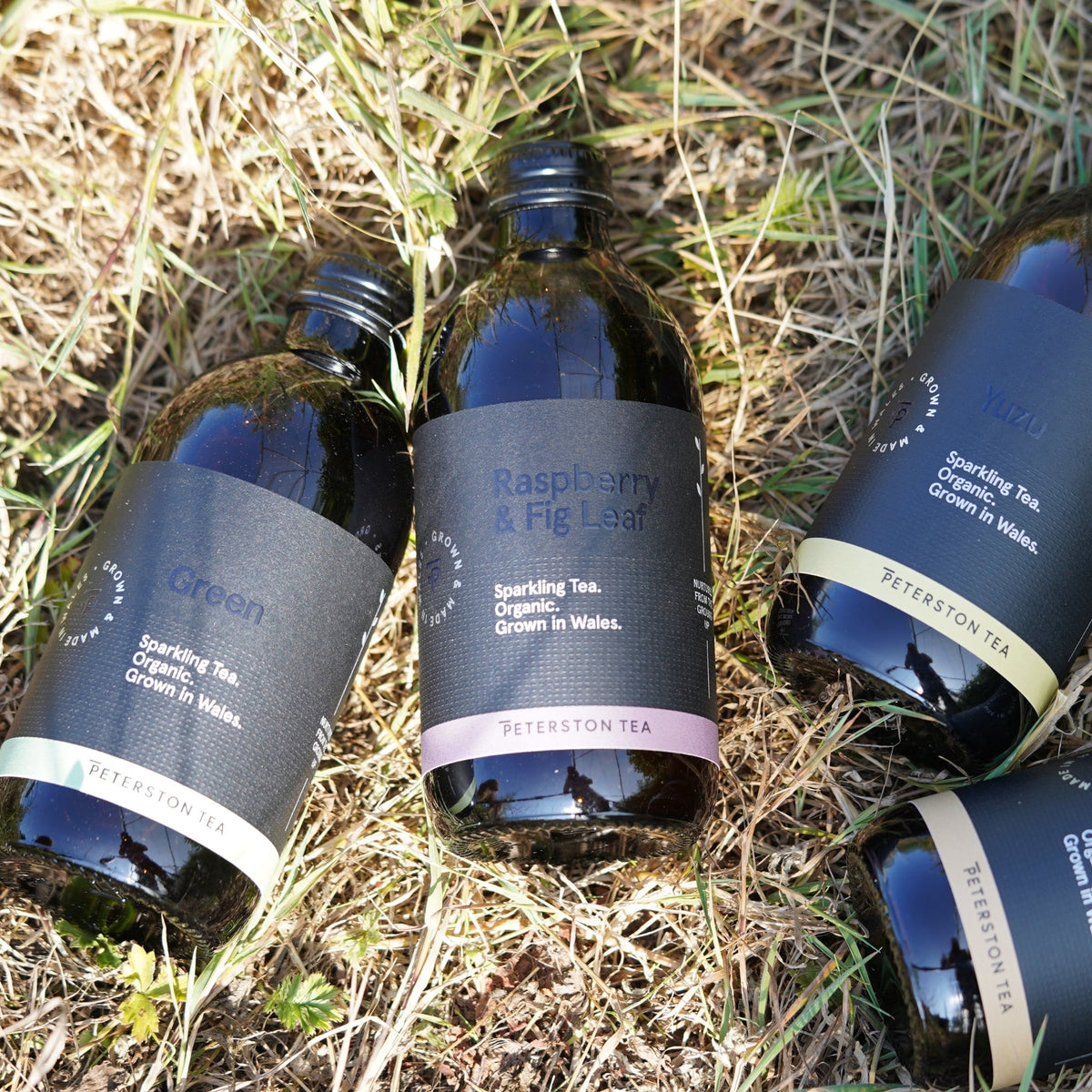 Peterston Tea kombucha bottles arranged on grass outdoors at their Welsh farm.