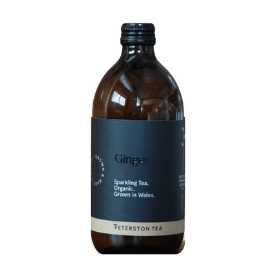 Peterston Tea Kombucha Ginger, amber bottle