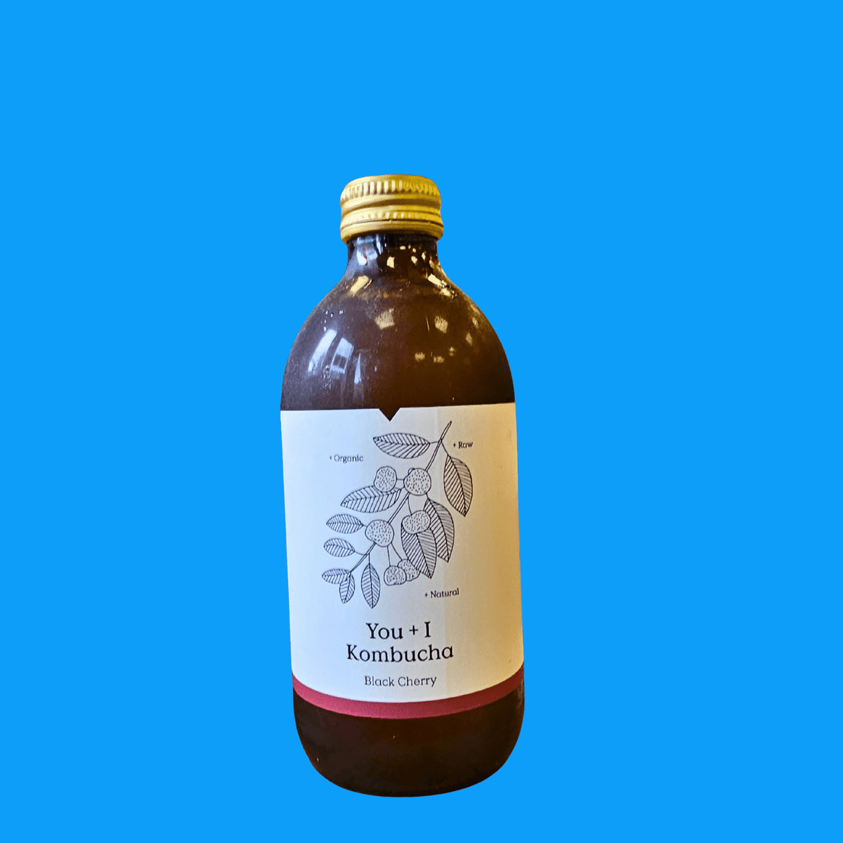 A bottle of You + I Black Cherry raw kombucha on a bright blue background.