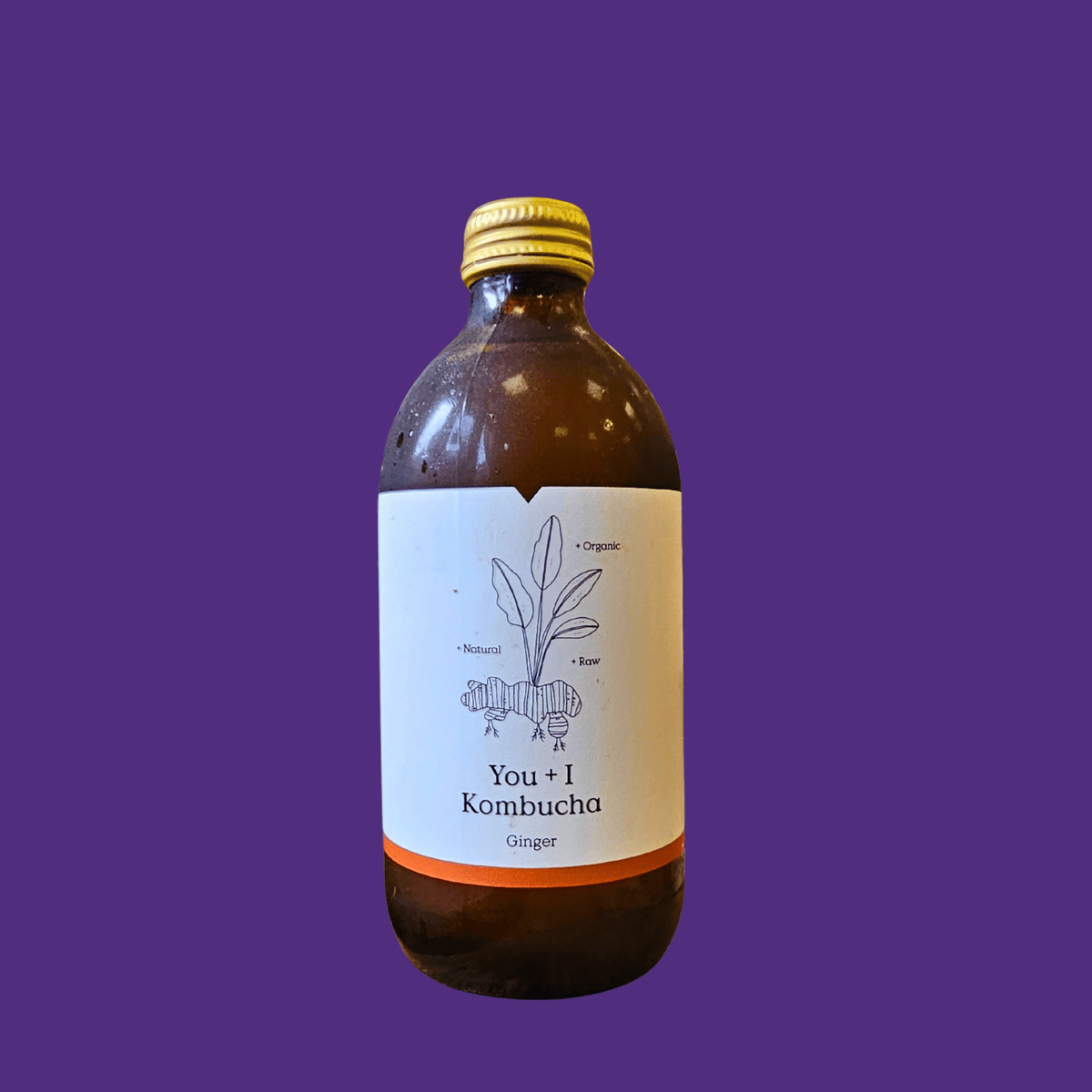 A bottle of You + I Ginger raw kombucha on a deep purple background.